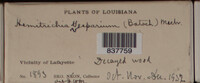 Image Associated With the Occurence